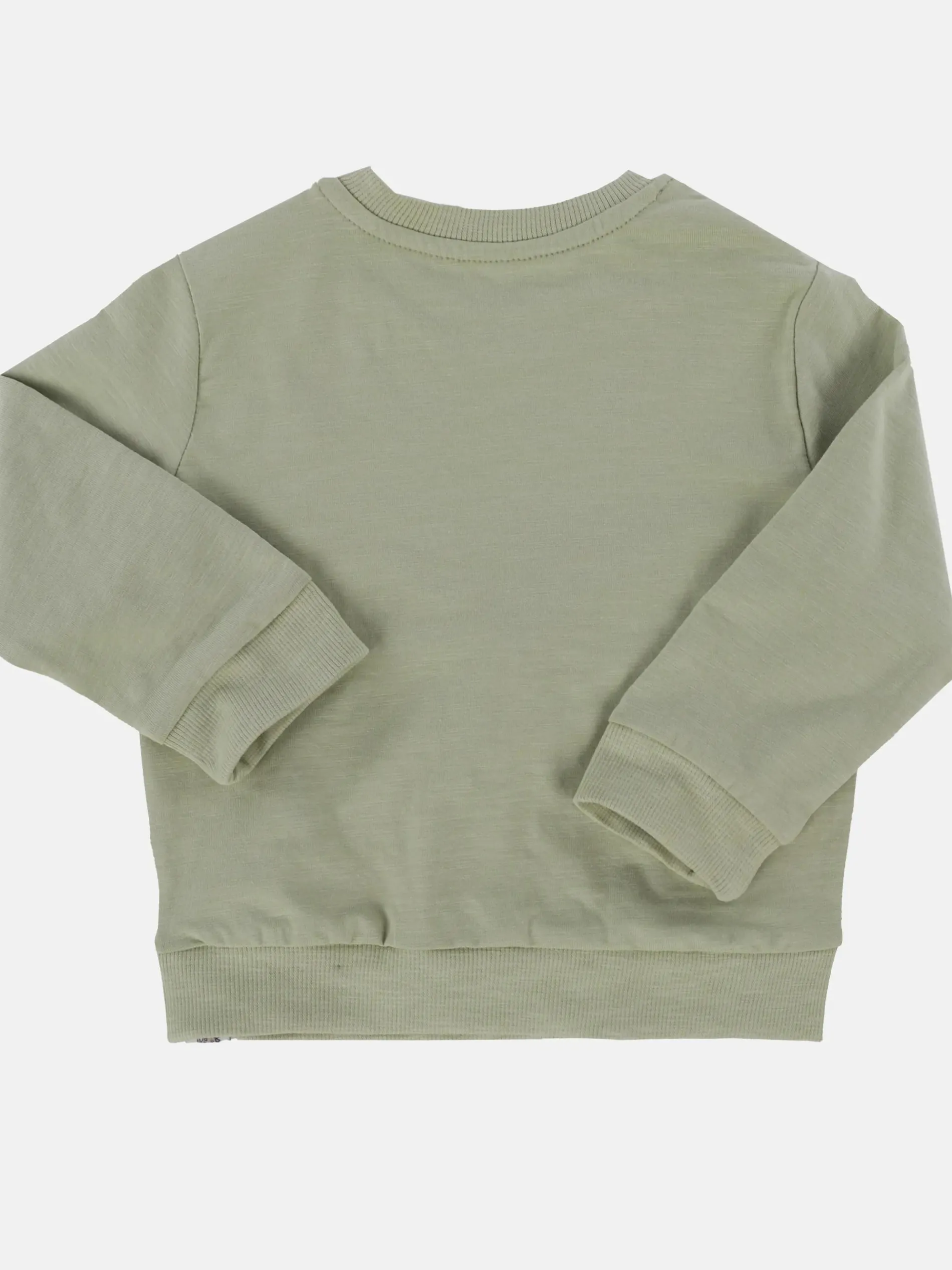 Baby Jungen Langarmshirt mit Print und Teddyapplikation