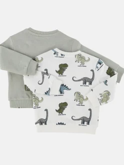 Baby Jungen Sweatshirt im 2er Pack