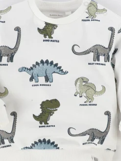 Baby Jungen Sweatshirt im 2er Pack