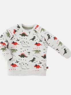 Baby Jungen Sweatshirt mit Dinoprint