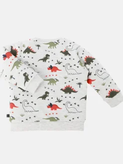Baby Jungen Sweatshirt mit Dinoprint