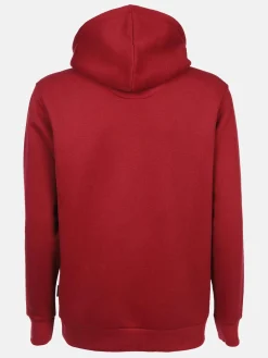 Herren Kapuzensweatshirt unifarben