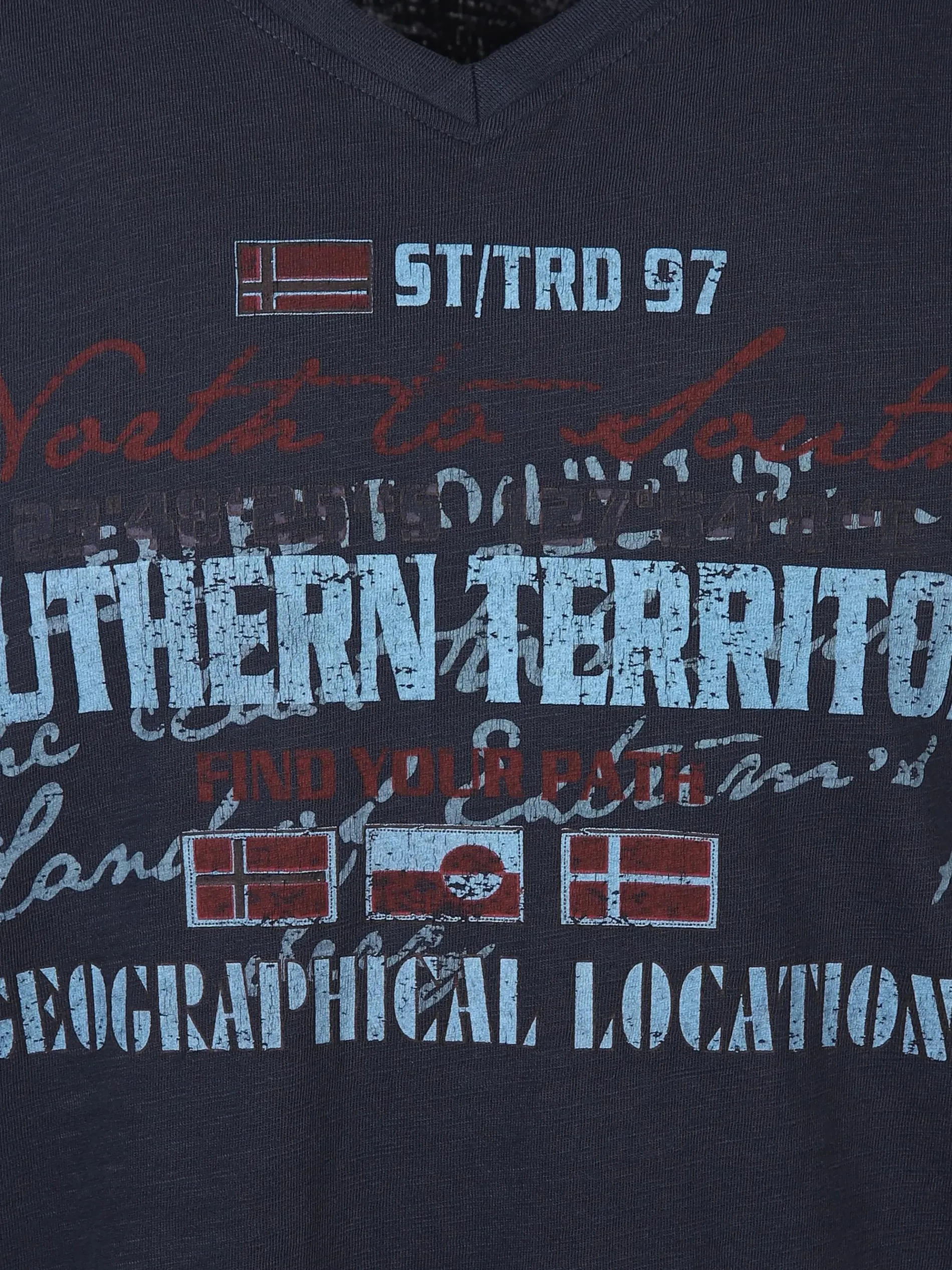 Herren Shirt mit Frontprint