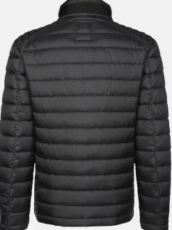Herren Steppjacke in schmaler Form