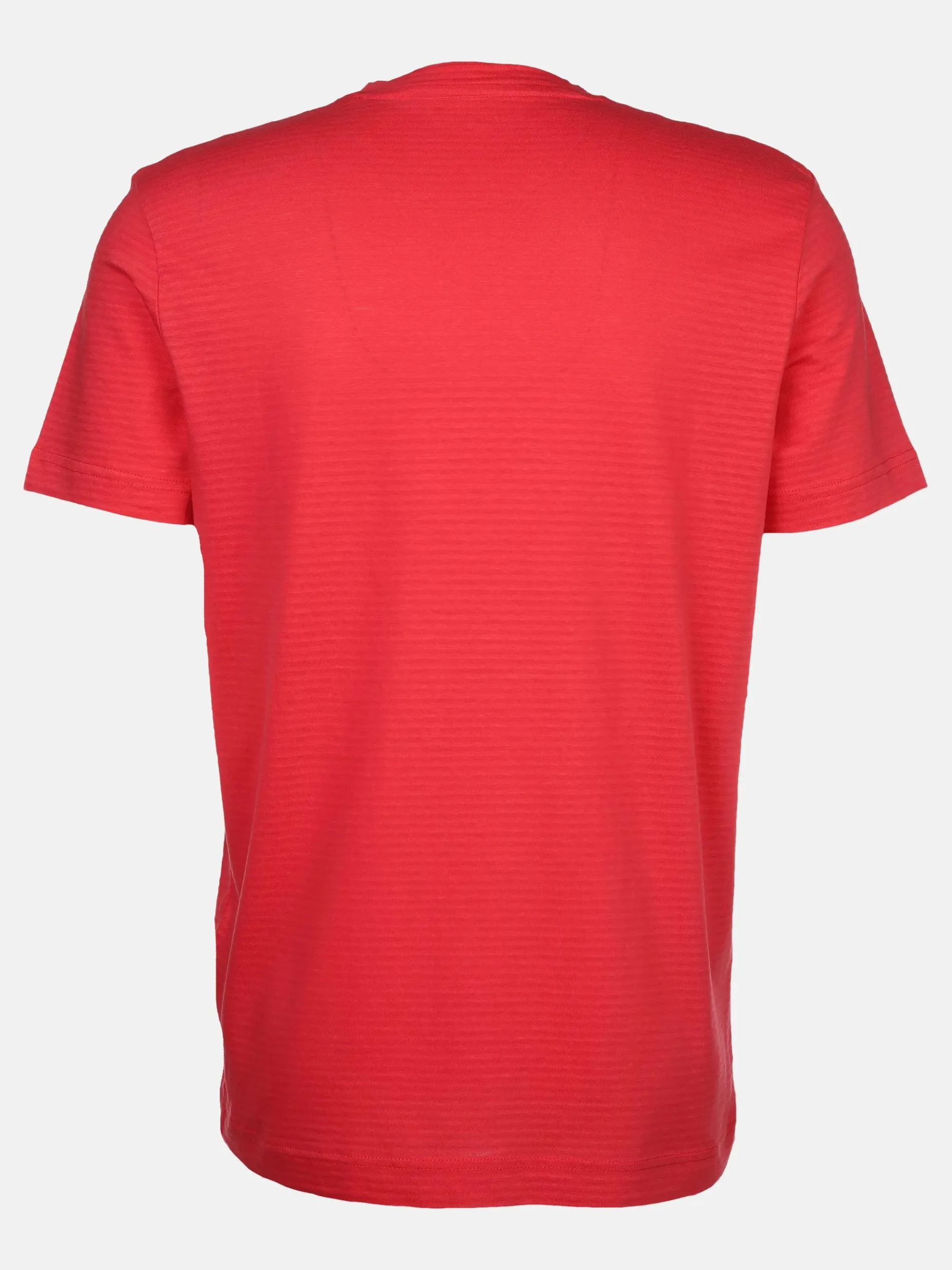 Herren T-Shirt im durchschimmernden Streifenlook