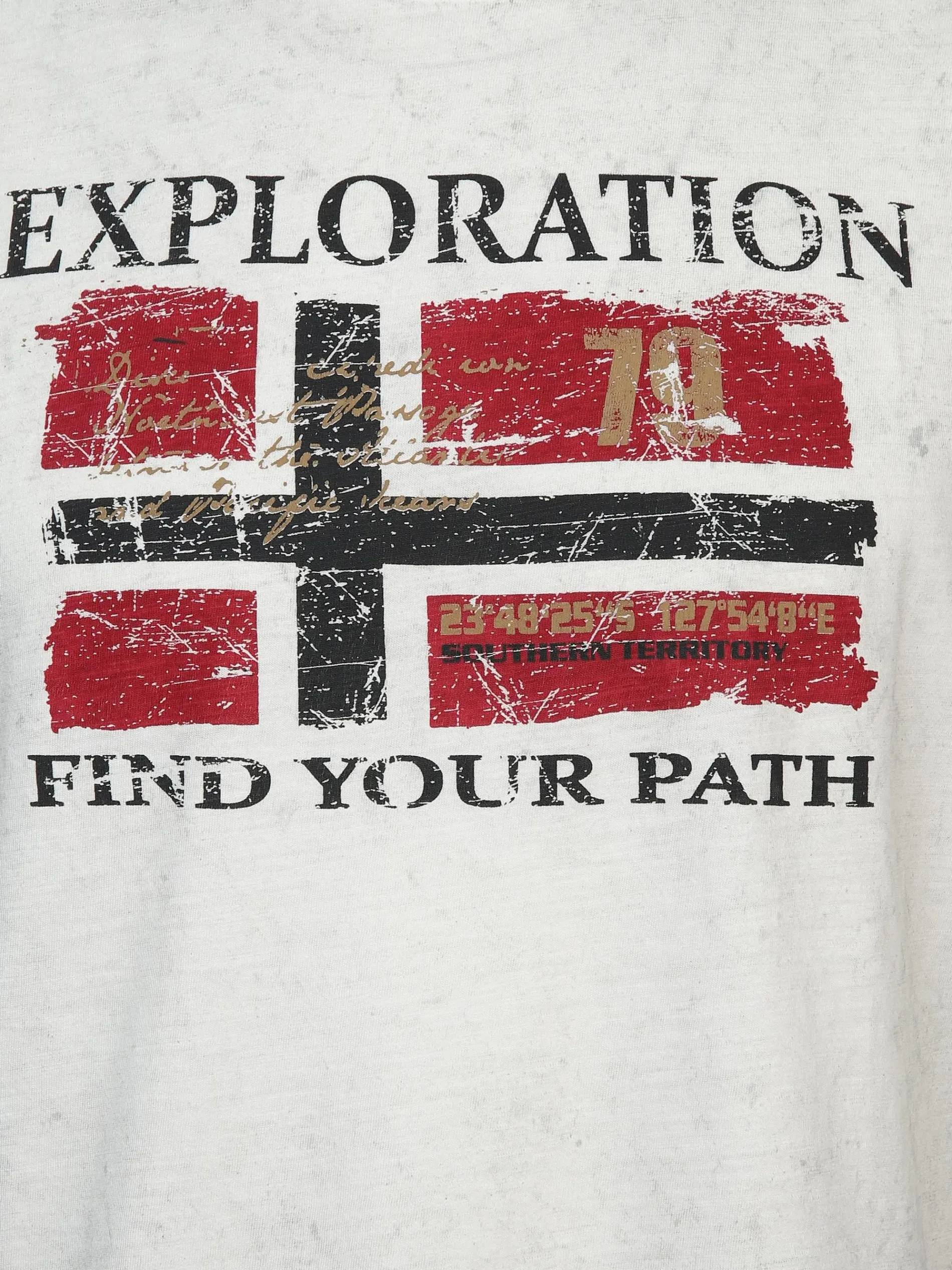 Herren T-Shirt mit Frontbild