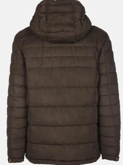 Herren Velour Steppjacke mit Kapuze