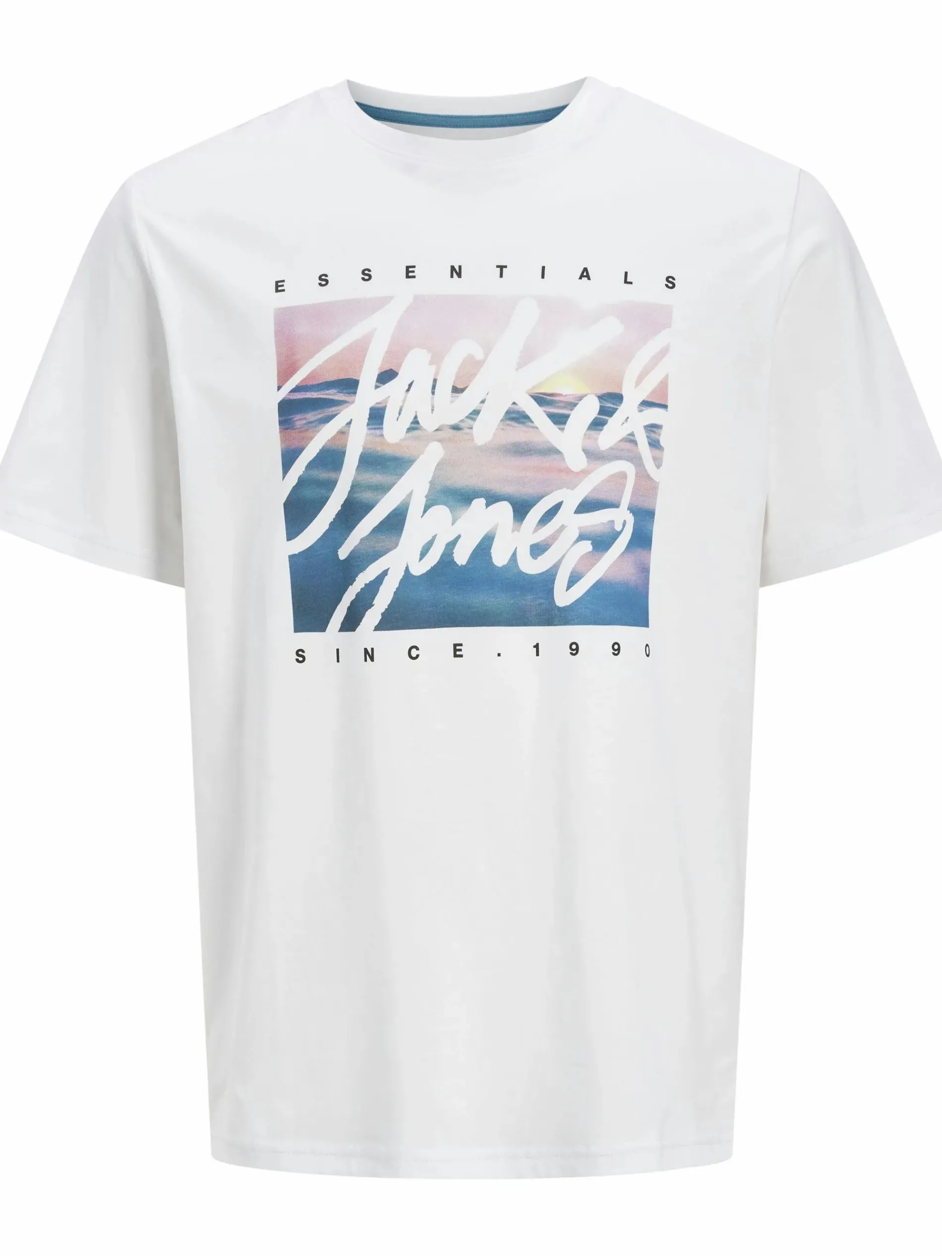 Jack & Jones JJCOLTON PHOTOPRINT T-Shirt