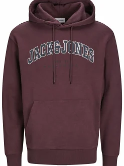 Jack & Jones JJECALEB VARSITY SWEA Hoodie