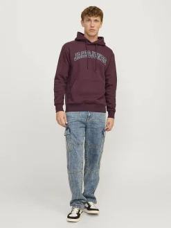 Jack & Jones JJECALEB VARSITY SWEA Hoodie