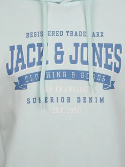 Jack & Jones JJELOGO SWEAT HOOD 2 Hoodie