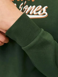 Jack & Jones JJELOGO SWEAT HOOD 2 Hoodie