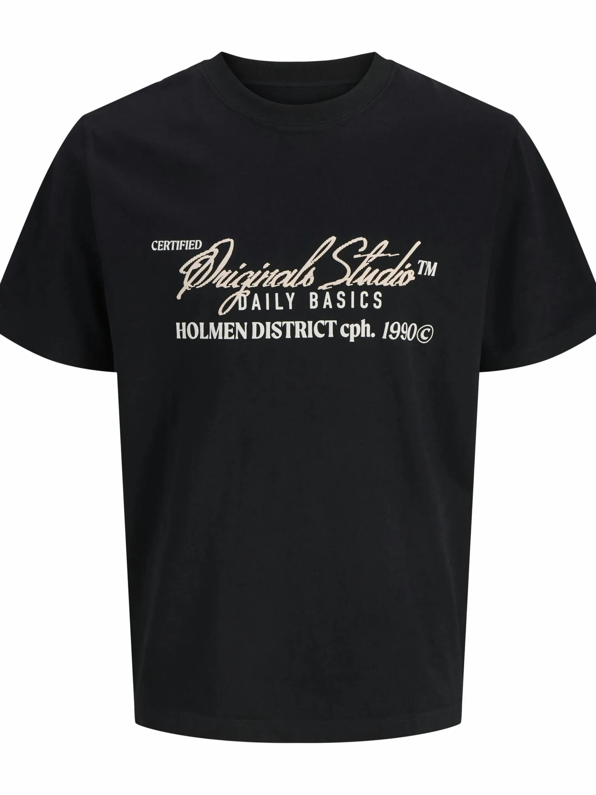 Jack & Jones JORBEDFORD T-Shirt