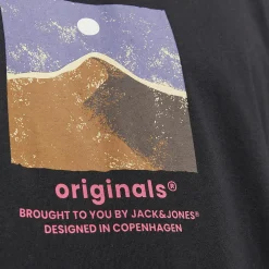 Jack & Jones JORSILVERLAKE GRAPHIC Shirt