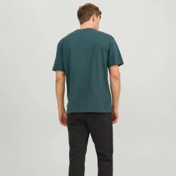 Jack & Jones JORSILVERLAKE GRAPHIC Shirt