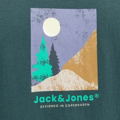 Jack & Jones JORSILVERLAKE GRAPHIC Shirt