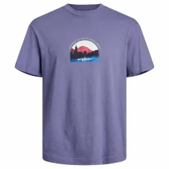 Jack & Jones JORSILVERLAKE GRAPHIC Shirt