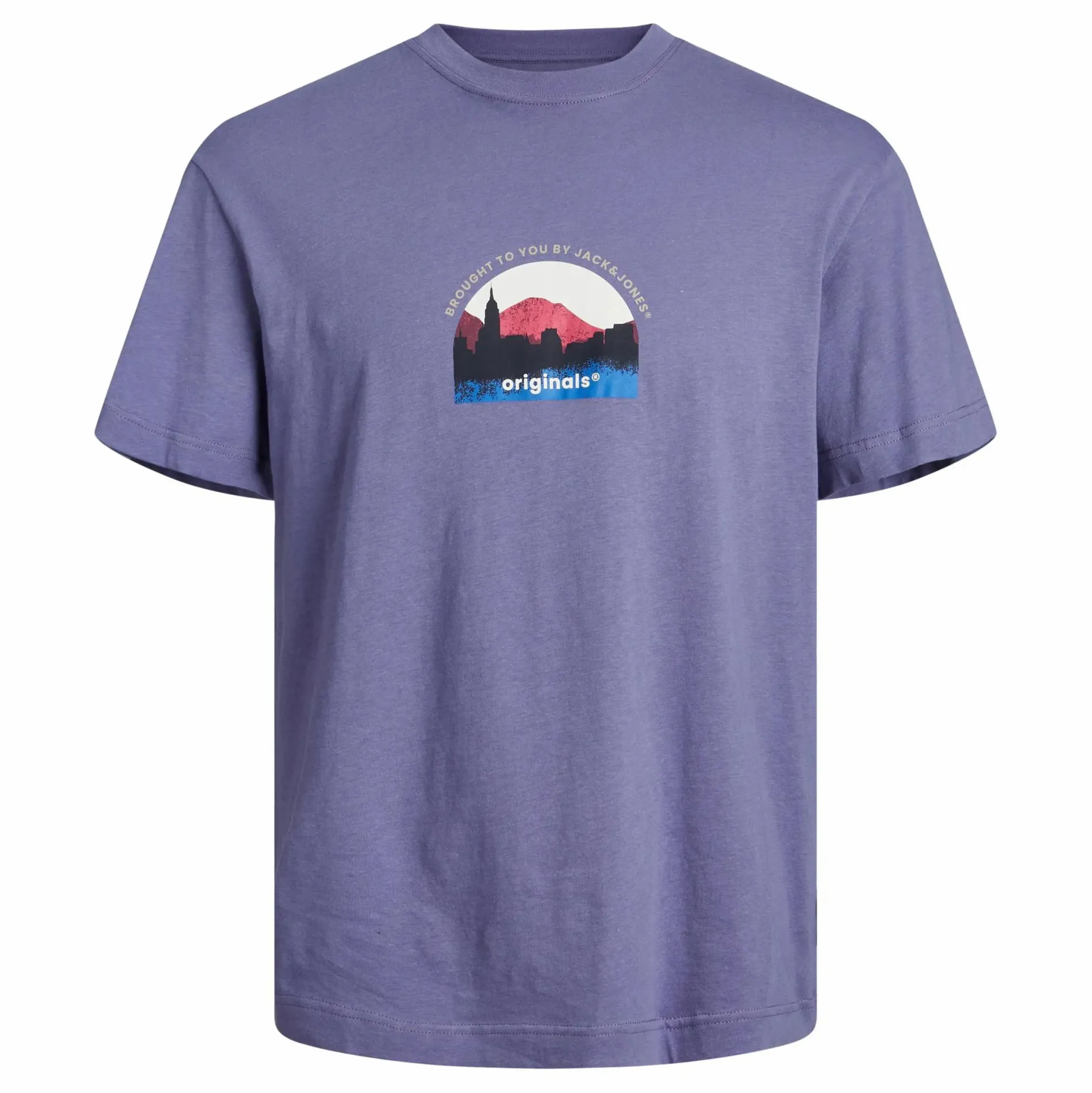 Jack & Jones JORSILVERLAKE GRAPHIC Shirt