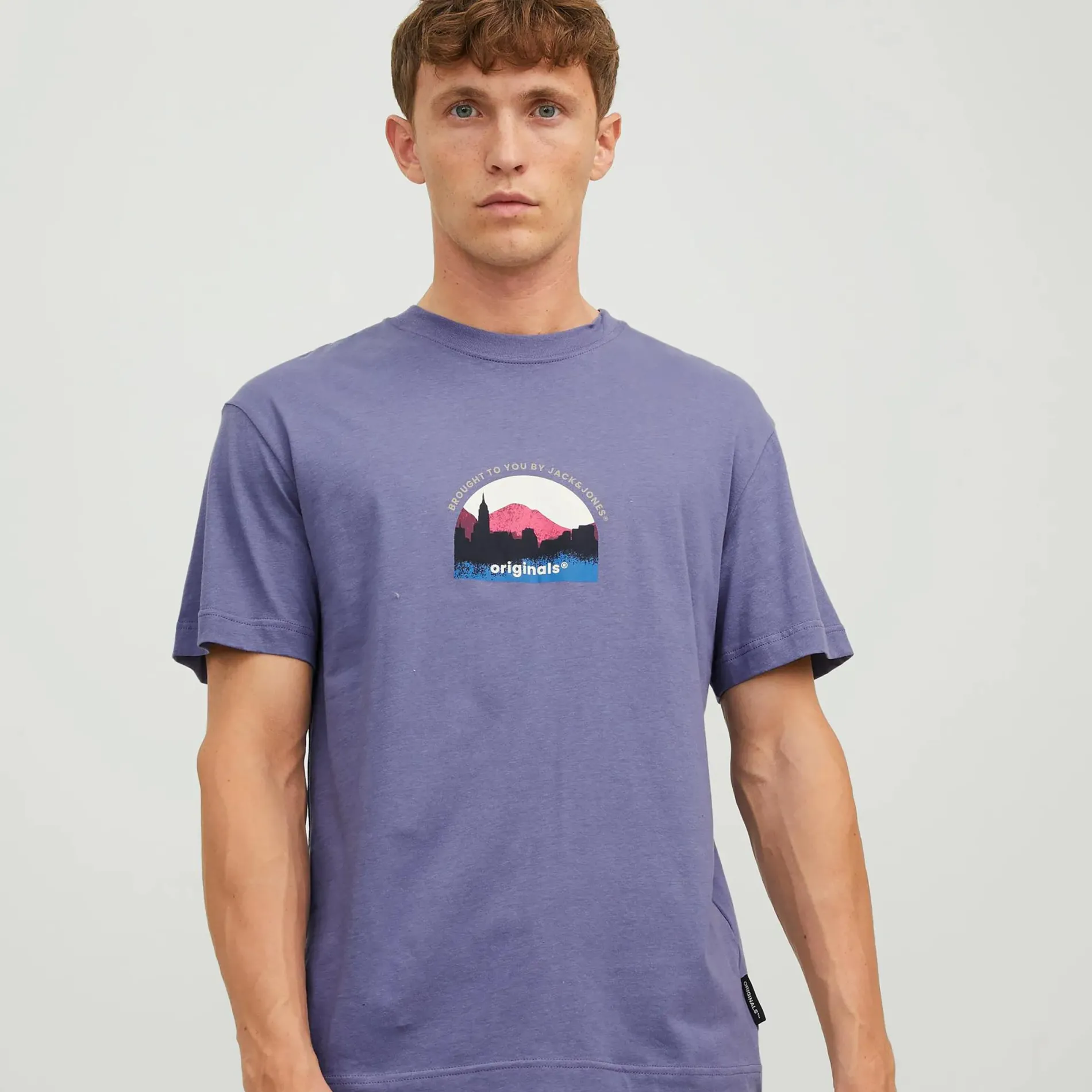 Jack & Jones JORSILVERLAKE GRAPHIC Shirt