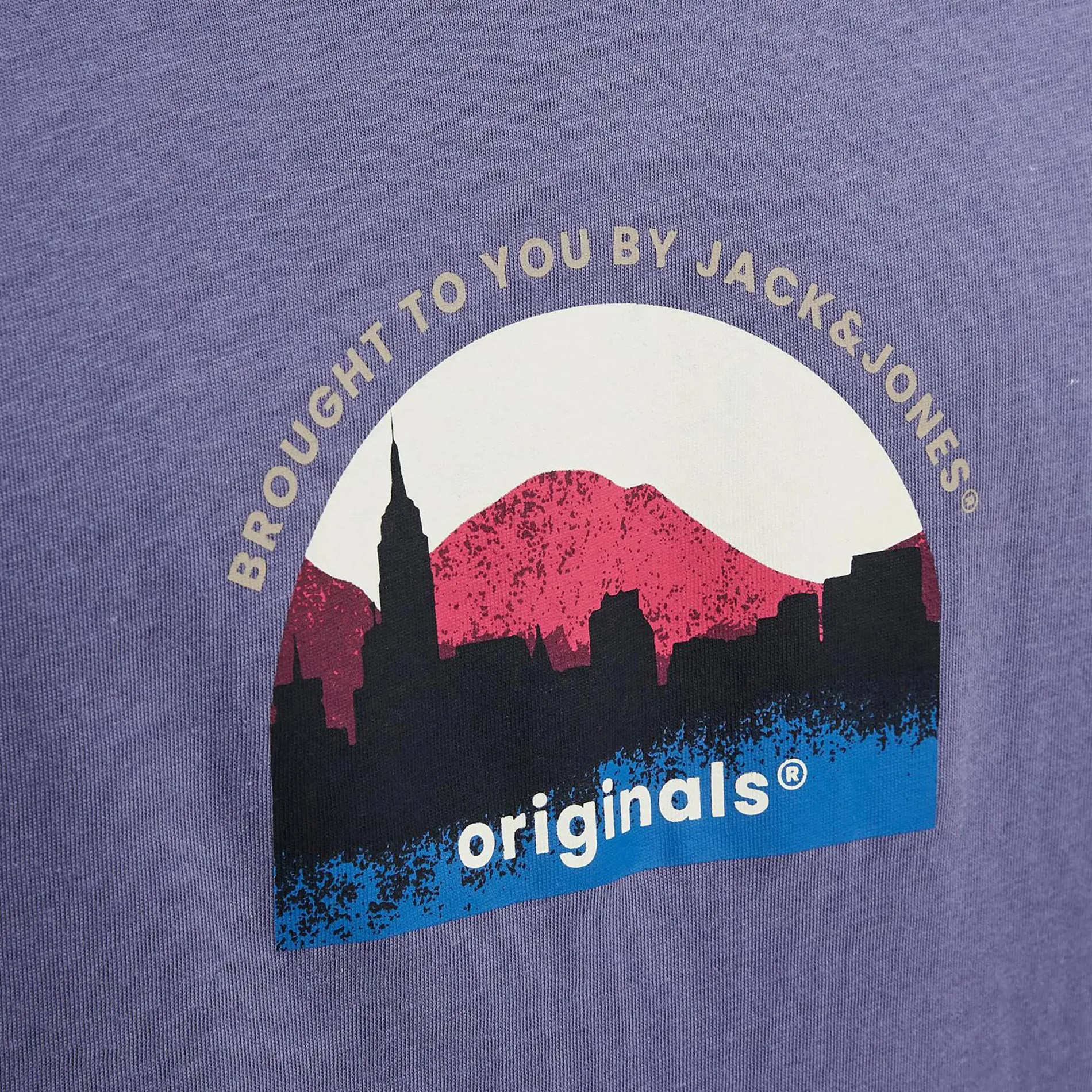 Jack & Jones JORSILVERLAKE GRAPHIC Shirt