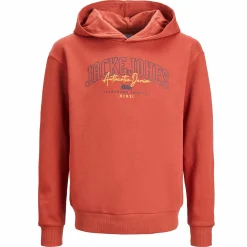 Jack&Jones Junior JJLARRY SWEAT HOOD JN Hoodie