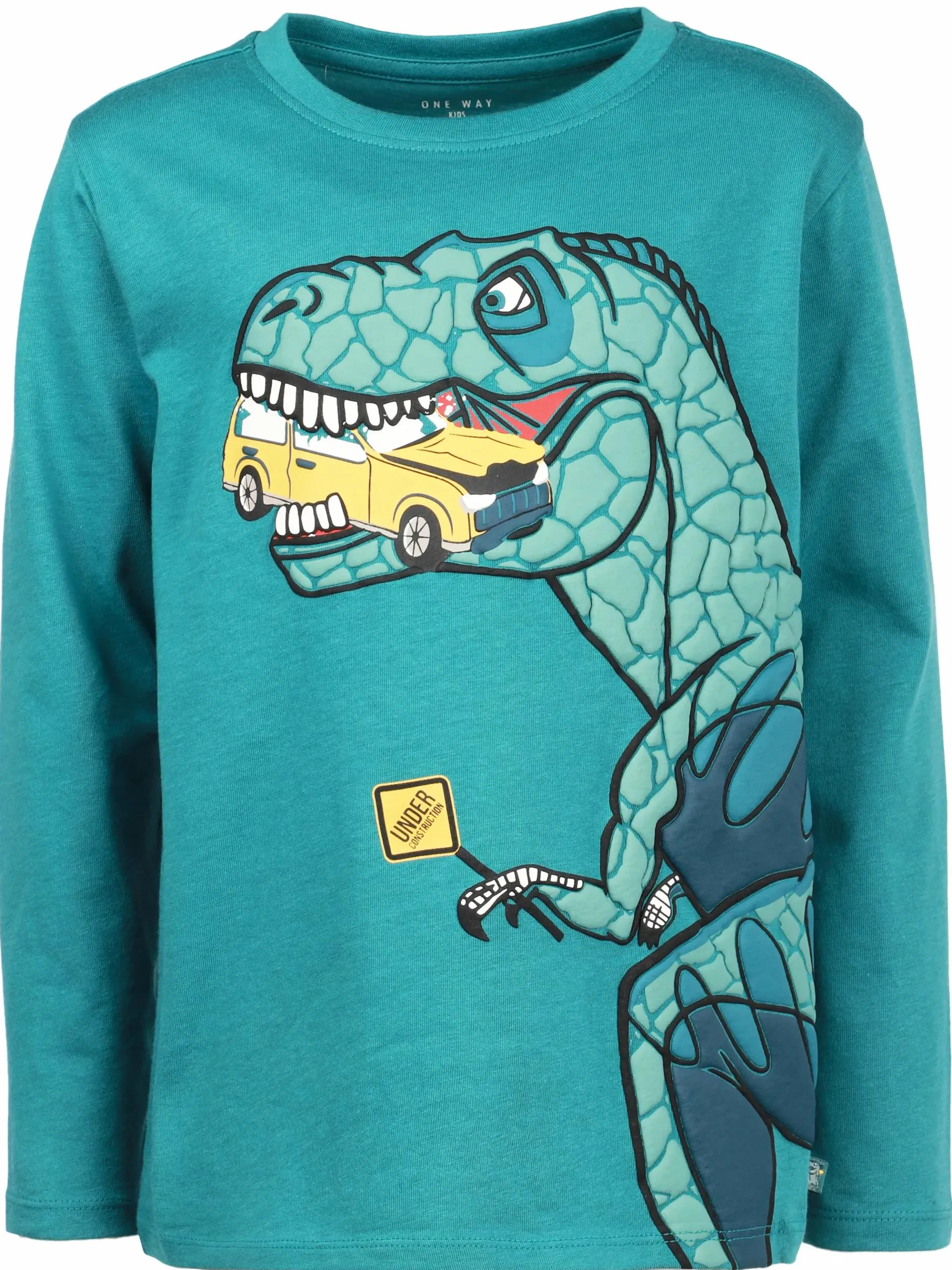 Jungen Langarmshirt mit Dinoprint