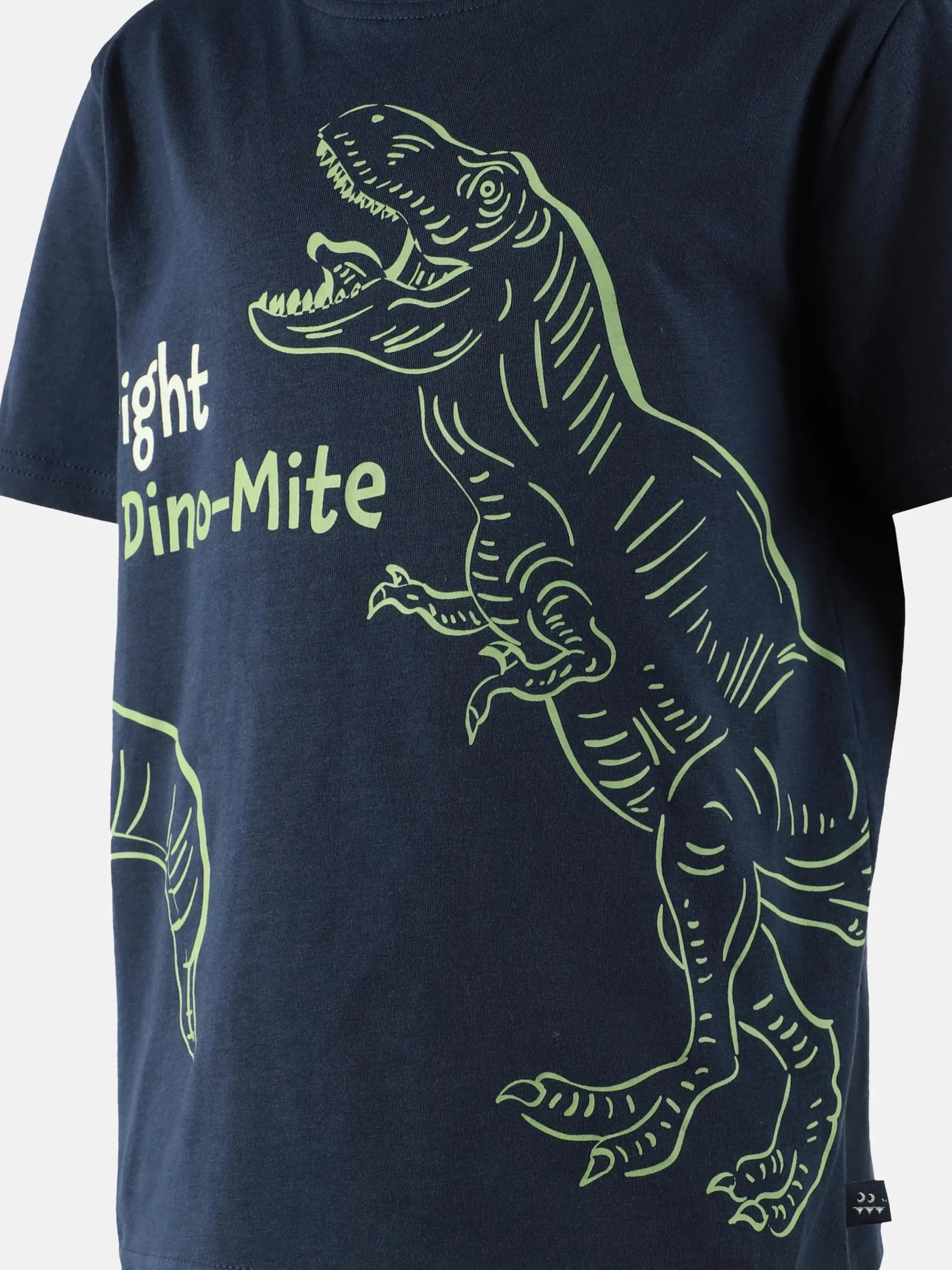 Jungen Shirt mit Dino-Leuchtmotiv
