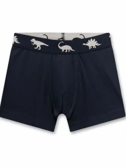 Jungen Shorts im 2er-Pack