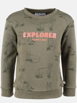 Jungen Sweater mit Fuchsmotiv