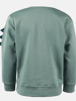Jungen Sweatshirt mit Dinomotiv
