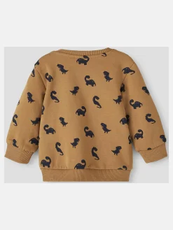 Jungen Sweatshirt mit Dinoprint