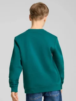 Jungen Sweatshirt mit Frontprint