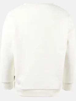 Jungen Sweatshirt mit lustigem Skaterbärmotiv