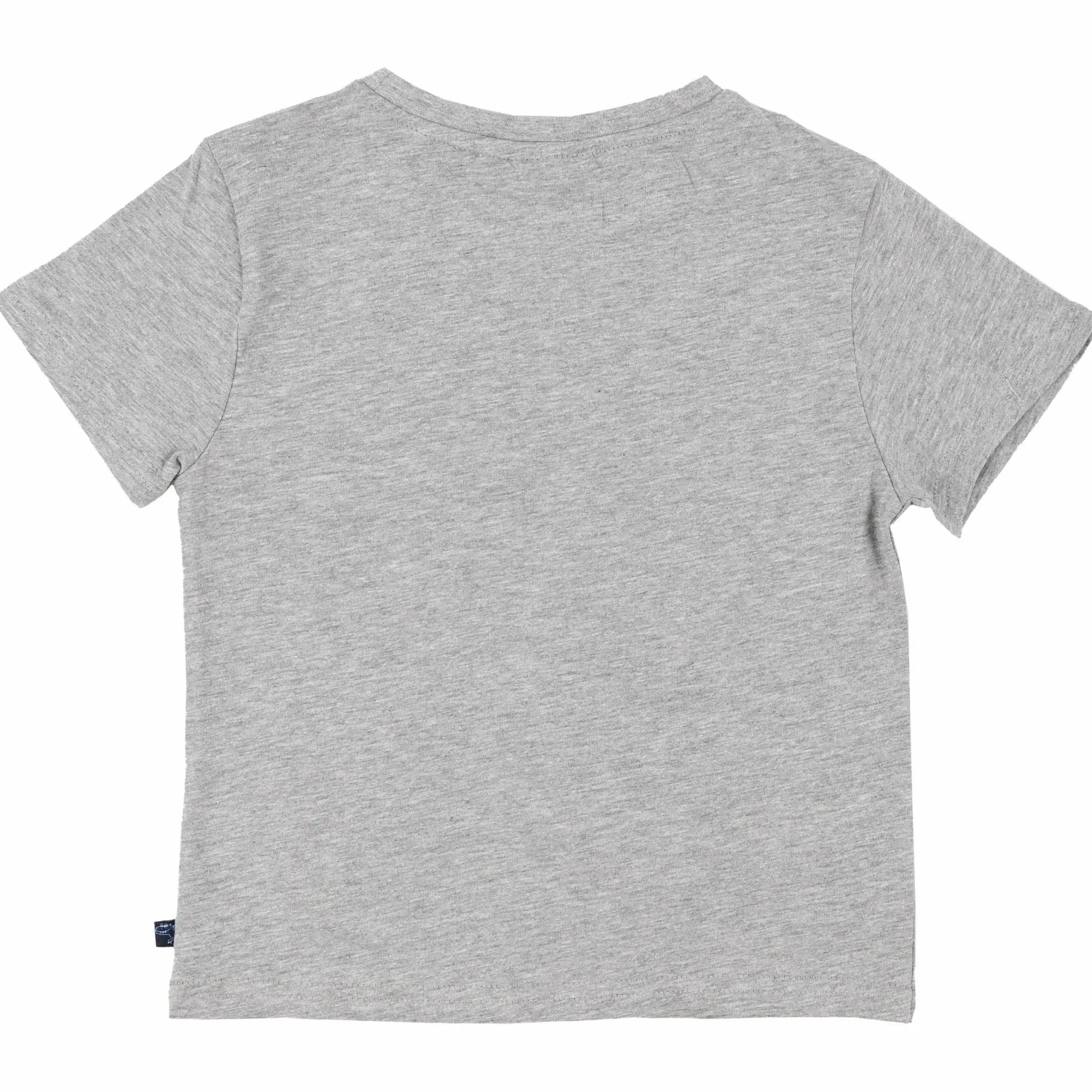 Jungen T-Shirt mit Dinoprint