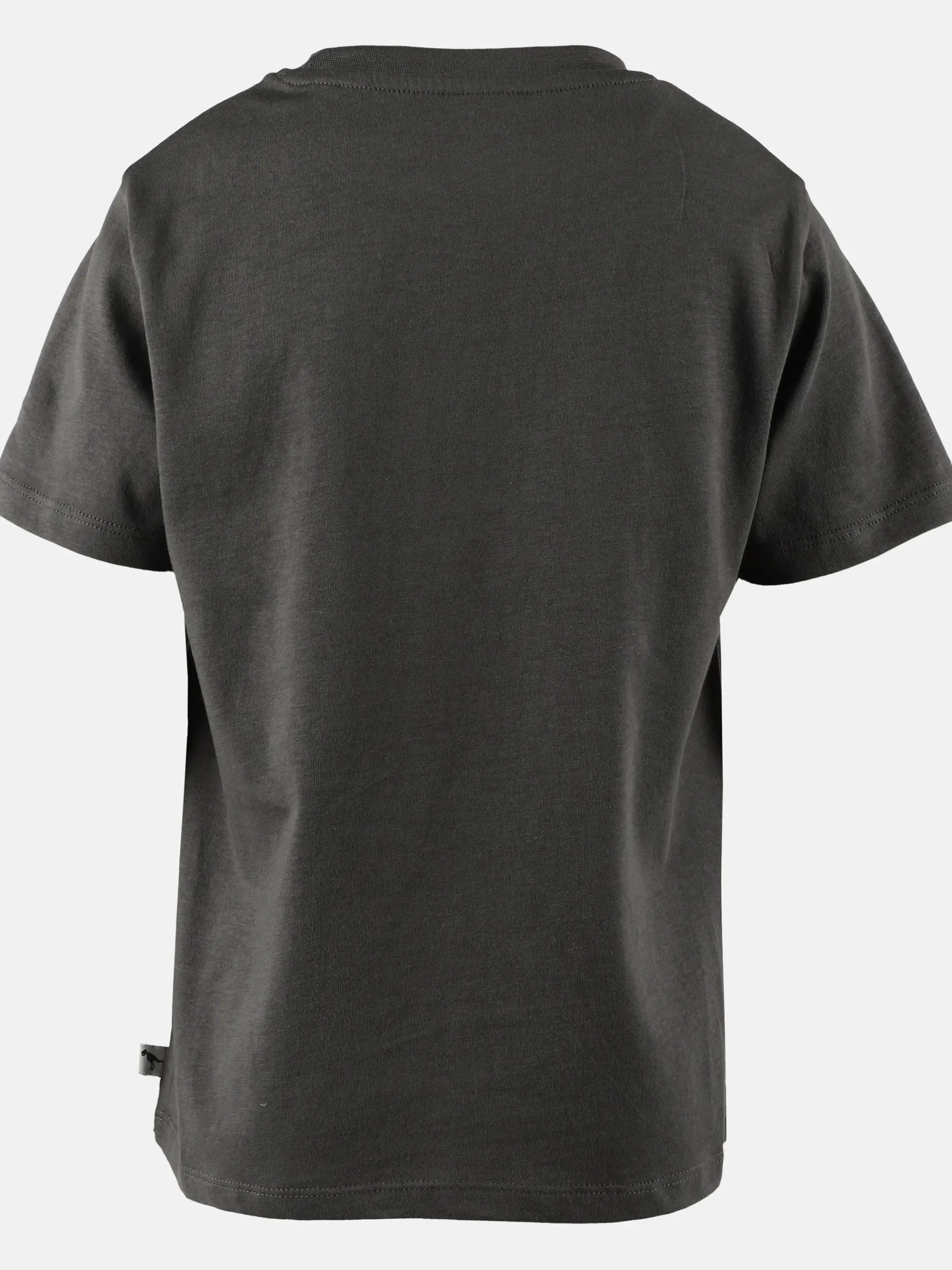 Jungen T-Shirt mit phosphoreszierendem Dinomotiv