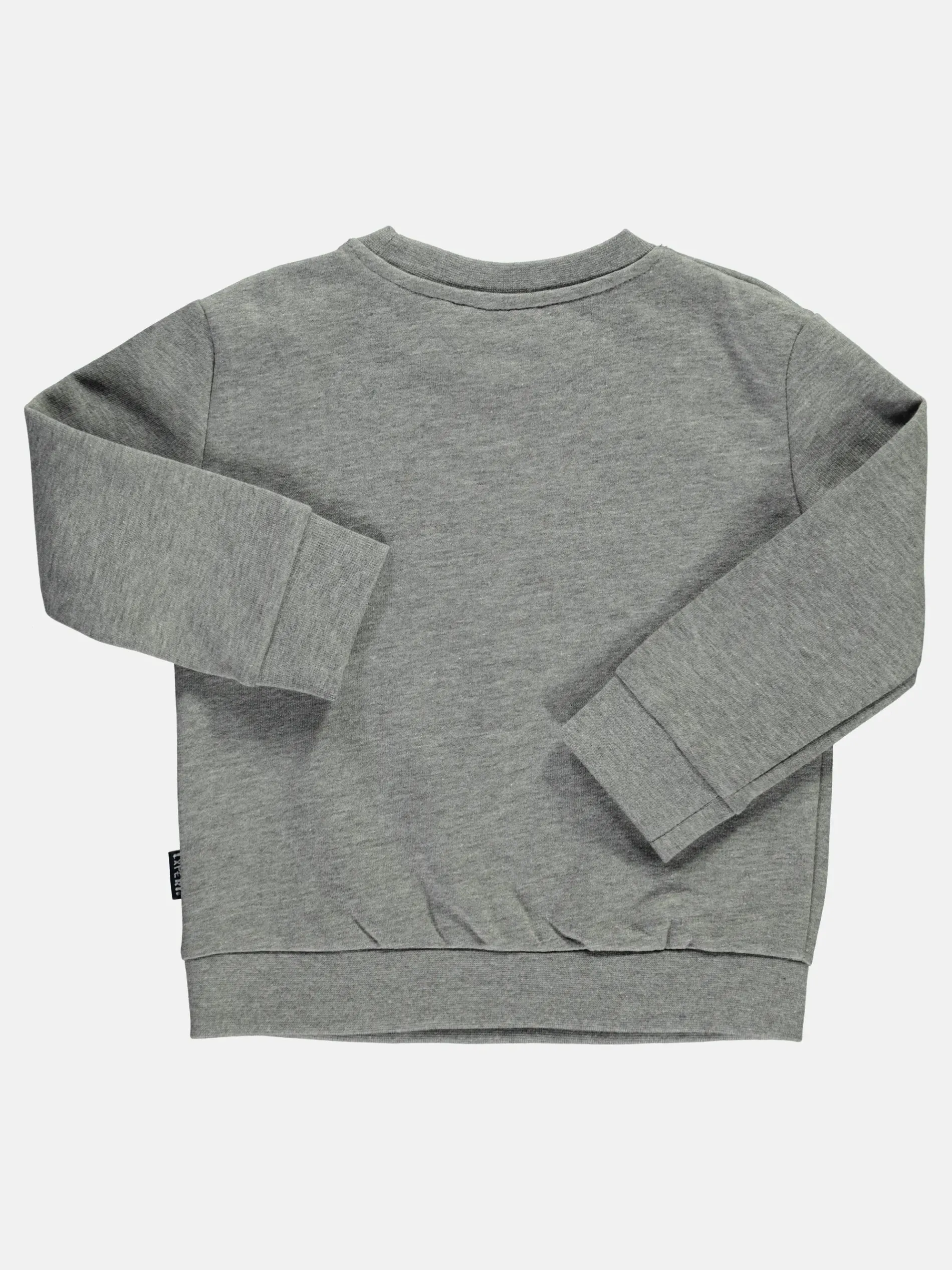 Mädchen Sweatshirt mit kleinem Schriftprint