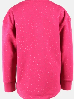 Mädchen Sweatshirt mit Paillettenmotiv und Stickerei