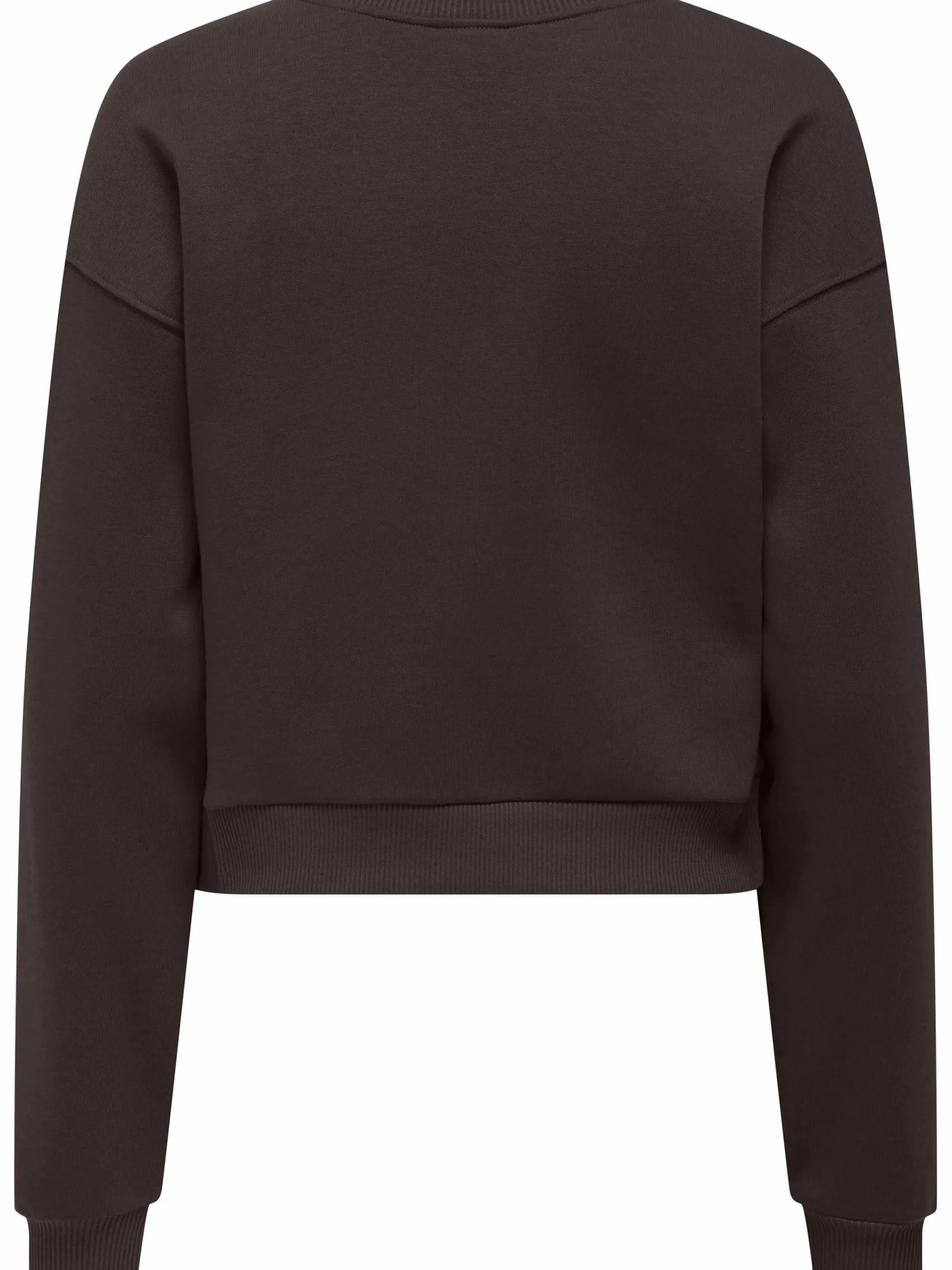 Only ONLEVISA L/S SHORT O-NECK Sweatshirt